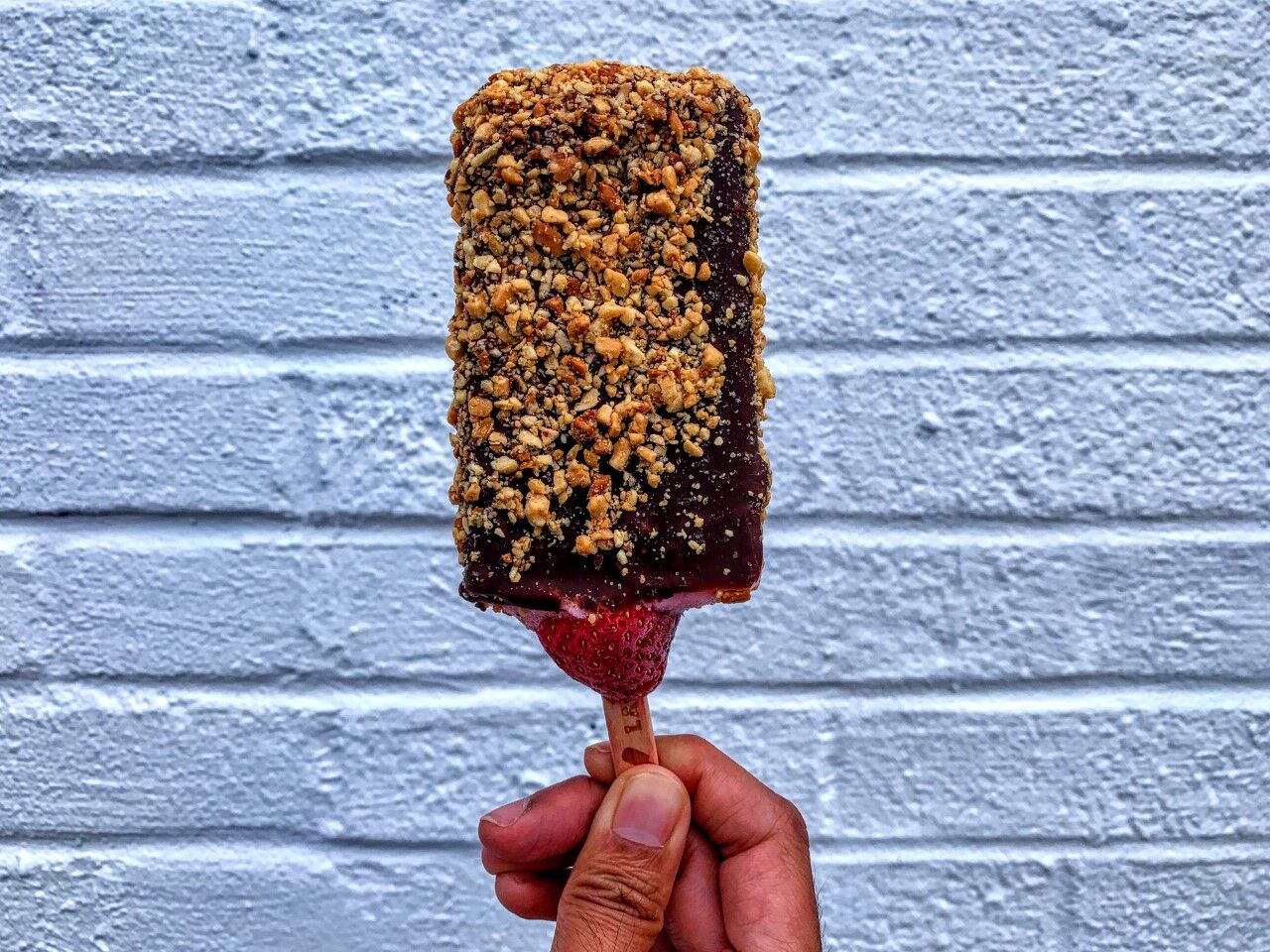 LaPaleta_Bach.jpg (copy)